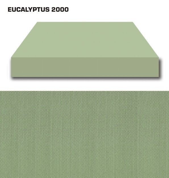 Eucalyptus 2000